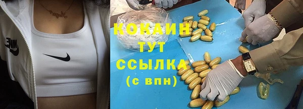 ешки Белокуриха