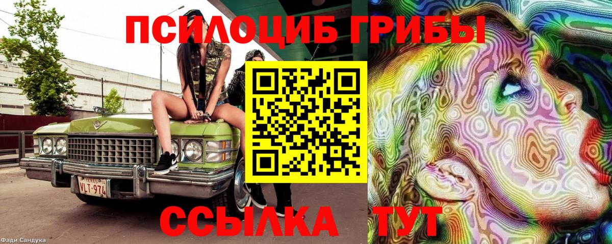 Вятские Поляны  Псилоцибиновые грибы мицелий  Вход с VPN  Галлюциногенные грибы Magic Shrooms 