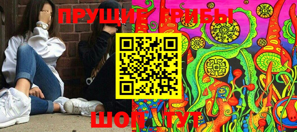 Галлюциногенные грибы Magic Shrooms Вятские Поляны