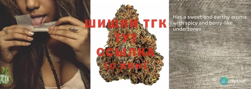 Бошки Шишки White Widow  Вятские Поляны 